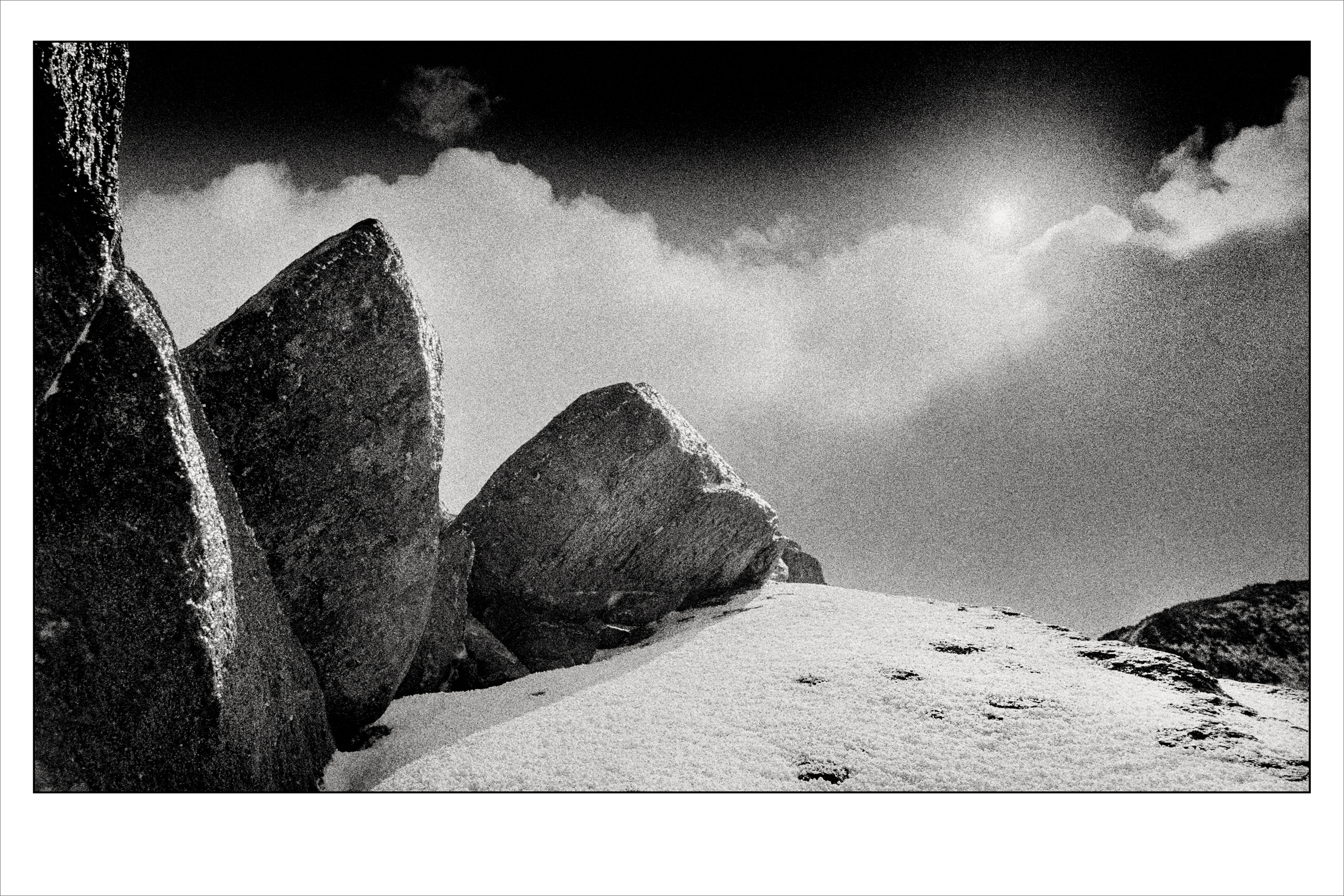 Black and white photograph into the sun, photographed on film.