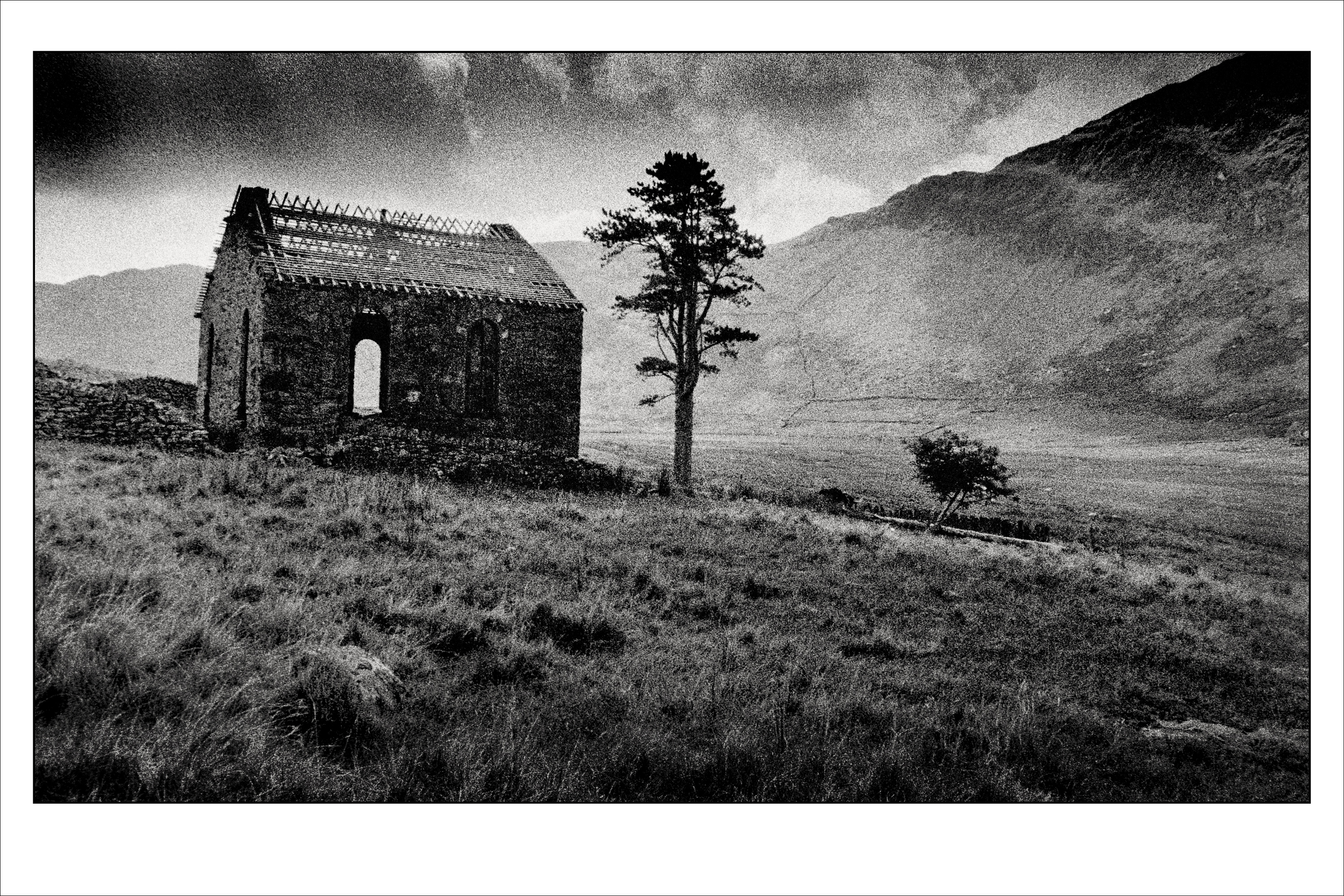 Old Barn and tree, Wales. Photographed on film