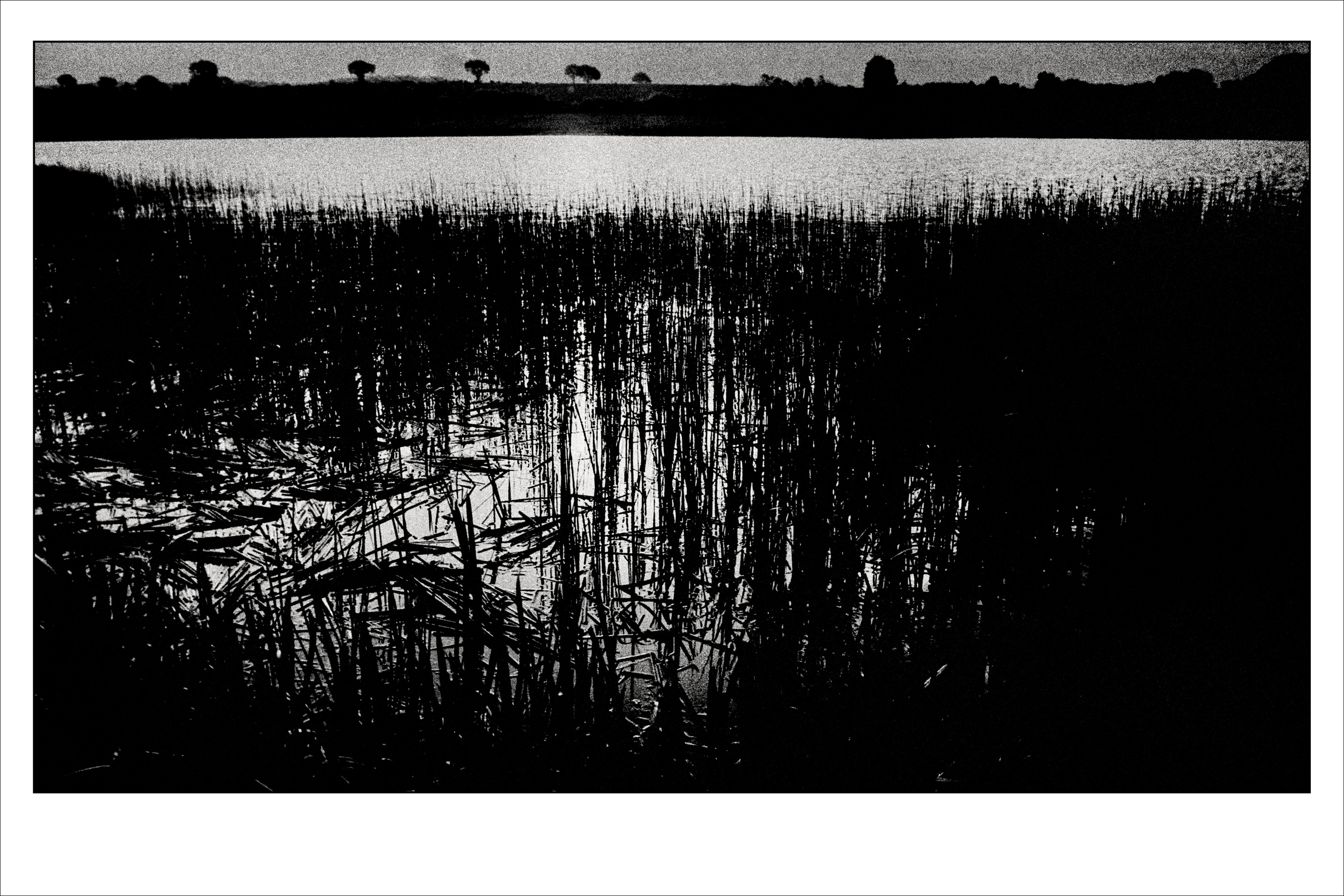 The Lake, photographed on film.Moody light