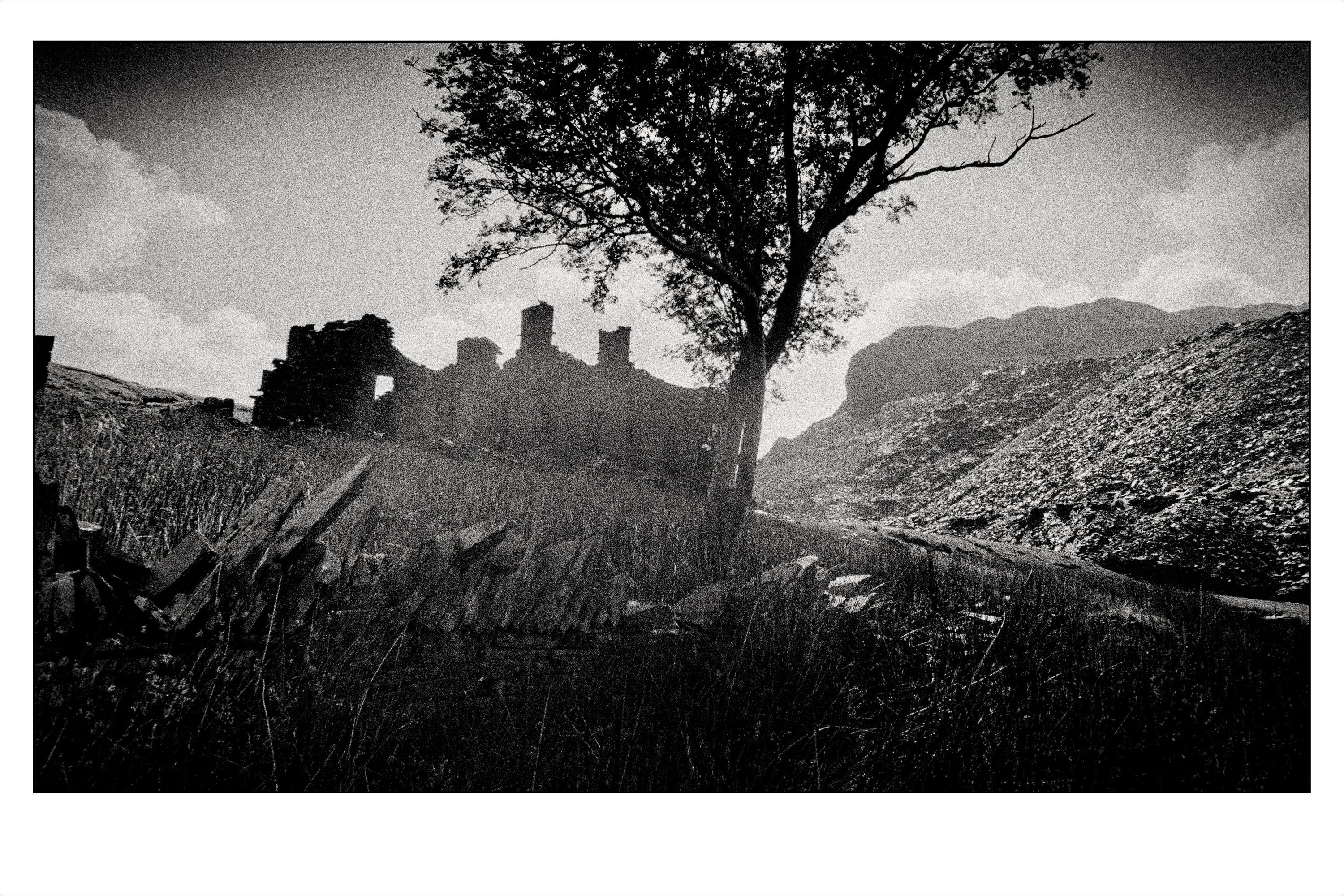 Old house and tree, Wales slate mines. Photographed on film